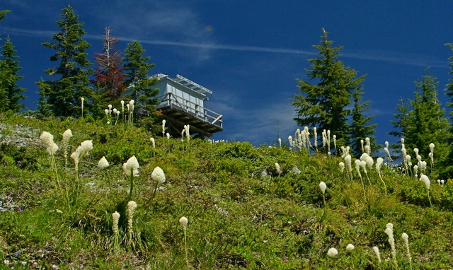 View of the lookout on the summit of Bull of the Woods Mountain