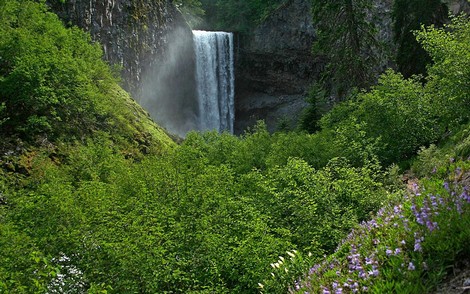 Tamanawas Falls