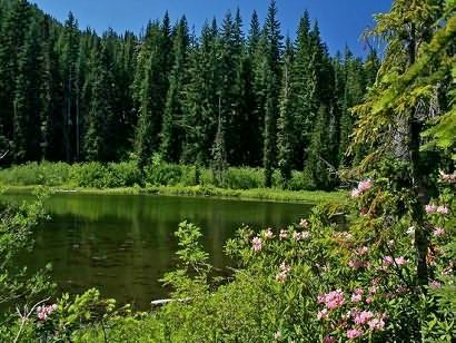 Upper Welcome Lake